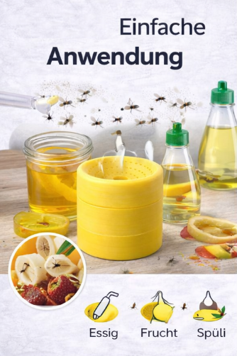 Fruchtfliegenfalle
